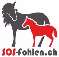 SOS Fohlen
